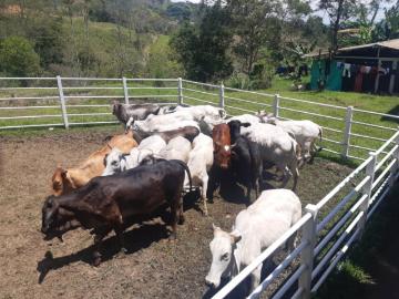 Finca En Venta En Belalcazar En Belalcazar V302260