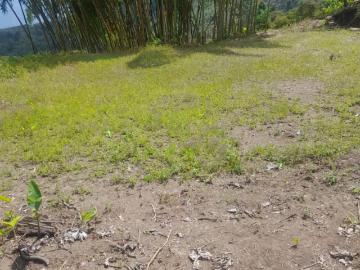 Finca En Venta En Belalcazar En Vereda El Madrono V343903