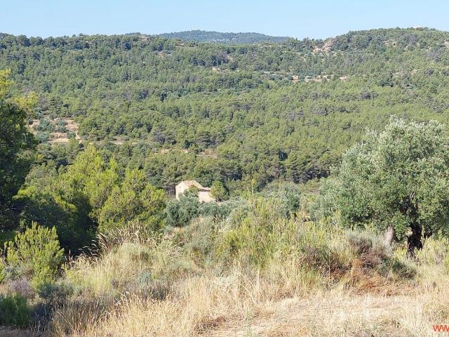 Finca en venta en Belmonte de San José Teruel