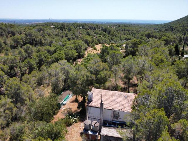 Finca en venta en Cambrils Tarragona