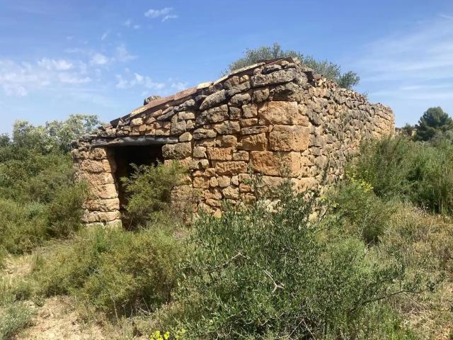 Finca en venta en Calaceite Teruel