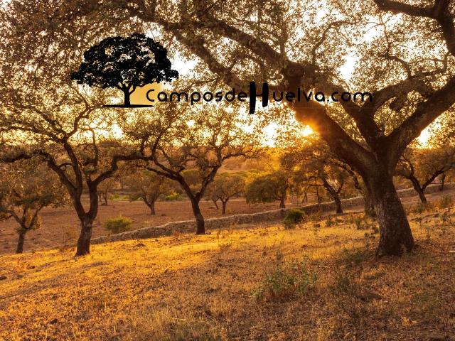 Finca en venta en Calañas Huelva
