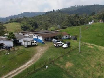 Finca En Venta En Caldas En Vereda La Chuscala V343295