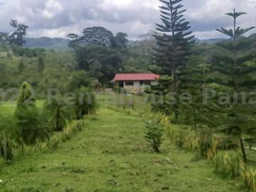 Finca en Venta en Capira Capira Panamá Oeste 32767 m2. 6 hab