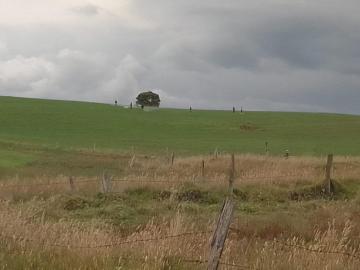 Finca En Venta En Chivata En Vereda Siatoca V353340