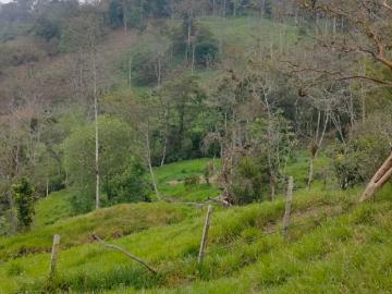 Finca En Venta En Chinacota En Chinacota V353593