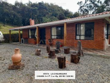 Finca En Venta En Chiquinquira V98919