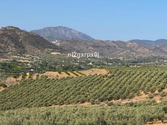 Finca en venta en Coín Málaga