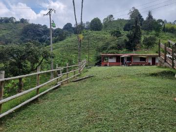 Finca En Venta En Cordoba V80584