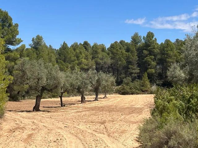 Finca en venta en Cretas Teruel