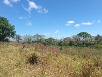 Finca en Venta en David