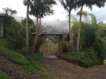 Finca En Venta En Dosquebradas V121881