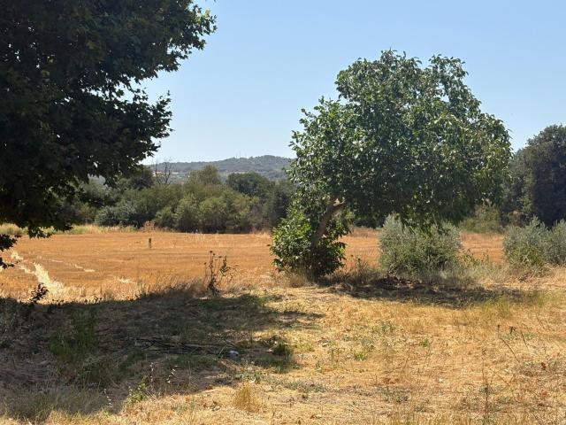 Finca en venta en el Somontano de Barbastro