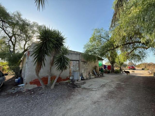 Finca en venta en Elche Alicante