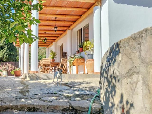 Finca en venta en Estepona Málaga