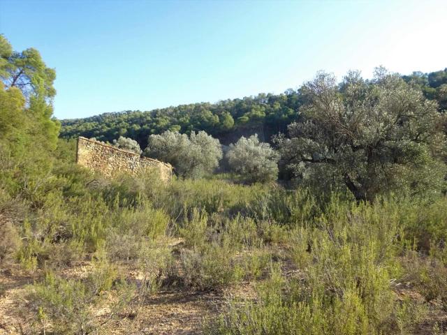 Finca en venta en Fabara Zaragoza