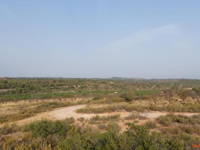 Finca en venta en Fabara Zaragoza