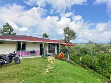 Finca En Venta En Filandia V153517