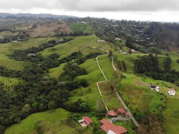 Finca En Venta En Filandia V67929