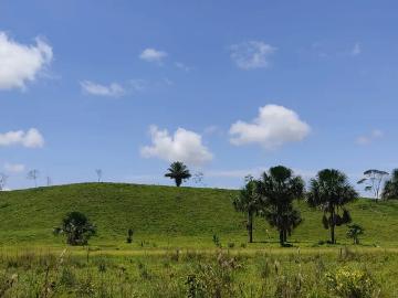 Finca en Venta