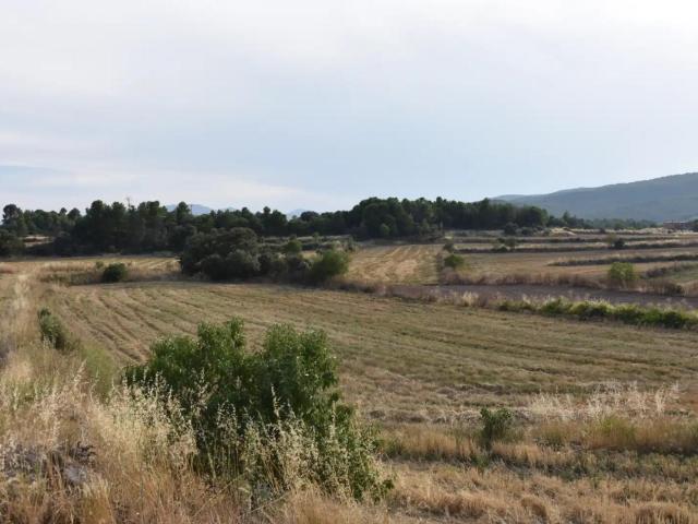 Finca en venta en Fuentespalda Teruel