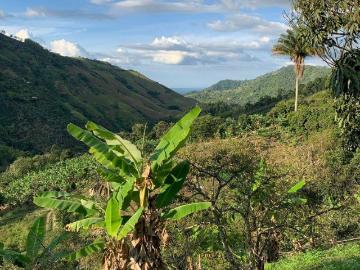 Finca En Venta En Genova V46964