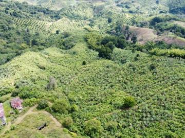 Finca En Venta En Genova V67999
