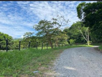 Finca En Venta En Guatape En Entre San Carlos Y Puerto Nare V302754