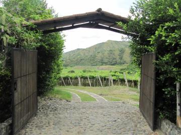 Finca En Venta En La Union En Vereda La Despensa V199720