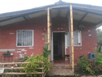 Finca En Venta En La Vega En Vereda El Chuscal V154470