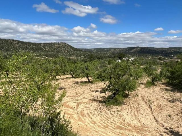 Finca en venta en La Fresneda Teruel