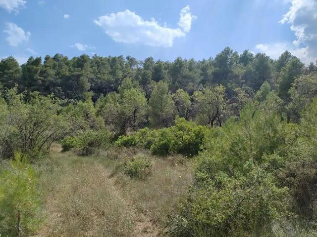 Finca en venta en La Fresneda Teruel