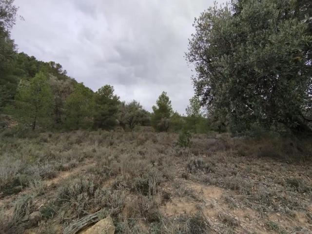 Finca en venta en La Fresneda Teruel