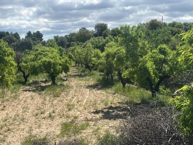 Finca en venta en La Fresneda Teruel