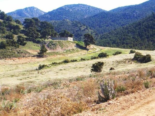 Finca en venta en Lorca Murcia