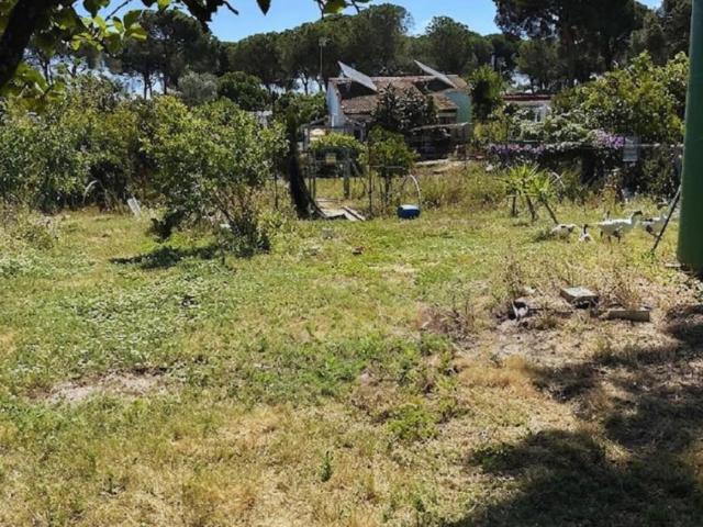 Finca en venta en Lucena del Puerto Huelva