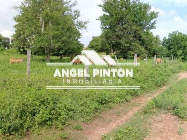 Finca en Venta en Machiques Zulia