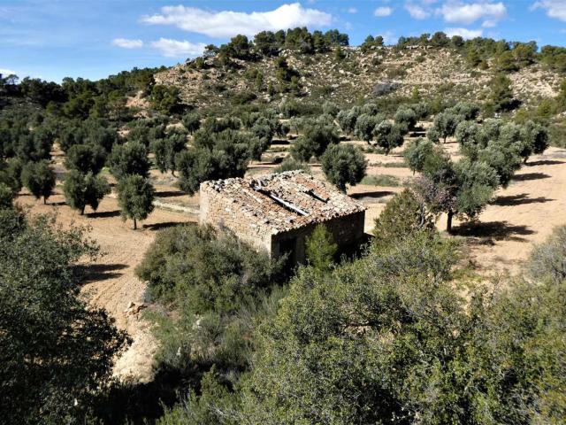 Finca en venta en Maella Zaragoza