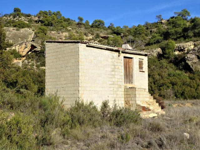 Finca en venta en Maella Zaragoza
