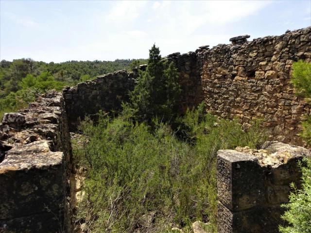 Finca en venta en Maella Zaragoza