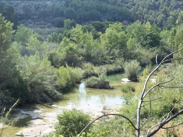 Finca en venta en Mazaleón Teruel