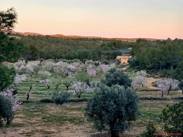 Finca en venta en Mazaleón Teruel
