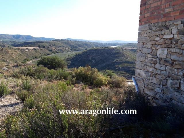 Finca en venta en Mequinenza Zaragoza