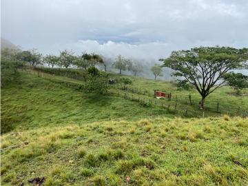 Finca en Venta en Obando, Quindio por $180000
