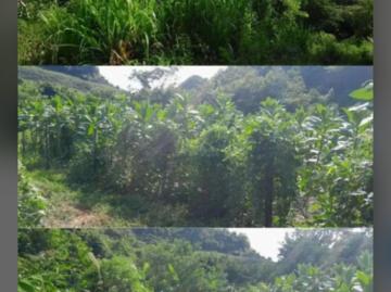 Finca En Venta En Ovejas En Ovejas V359204