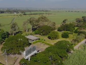 Finca En Venta En Palmira V361693