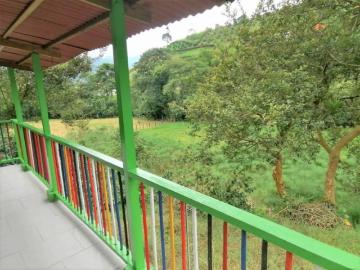 Finca En Venta En Pereira En La Florida V302150