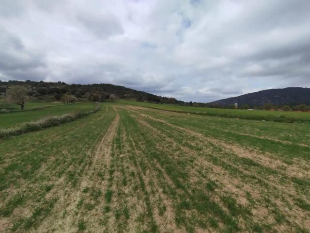 Finca en venta en Peñarroya de Tastavins Teruel