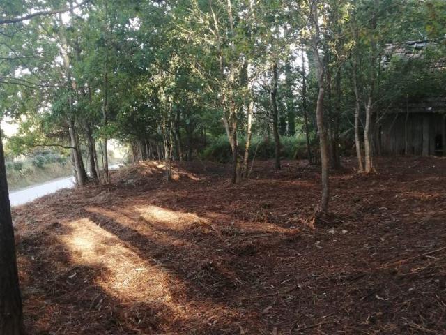 Finca en venta en Ponteareas Pontevedra