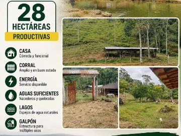 Finca En Venta En Puerto Rico En Las Pailas V393950